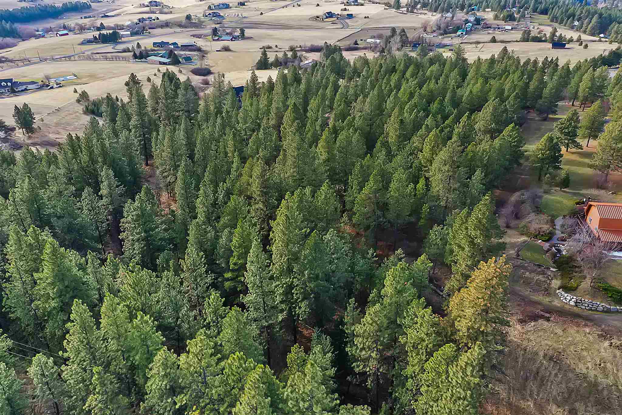 Xx South Harmon Ext Road Spokane, WA 99223 - Photo 3 of 5 Gallery Image 3