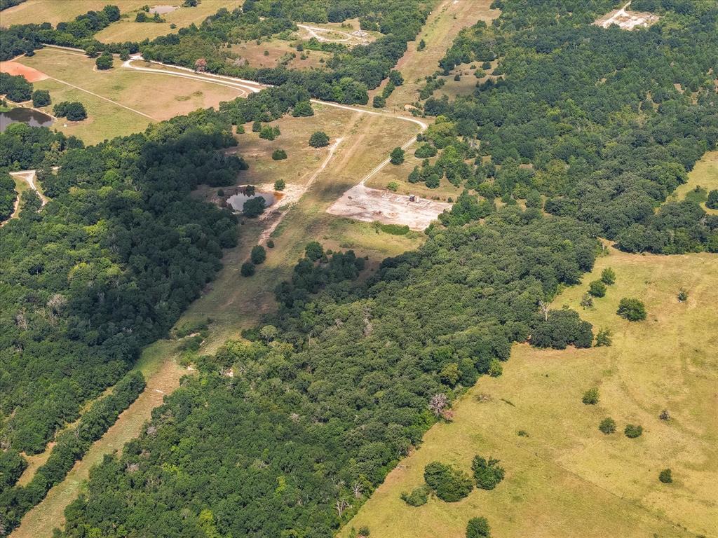 661 County Road 661 Fairfield, TX 75840 - Photo 13 of 18 a view of a yard with plants
