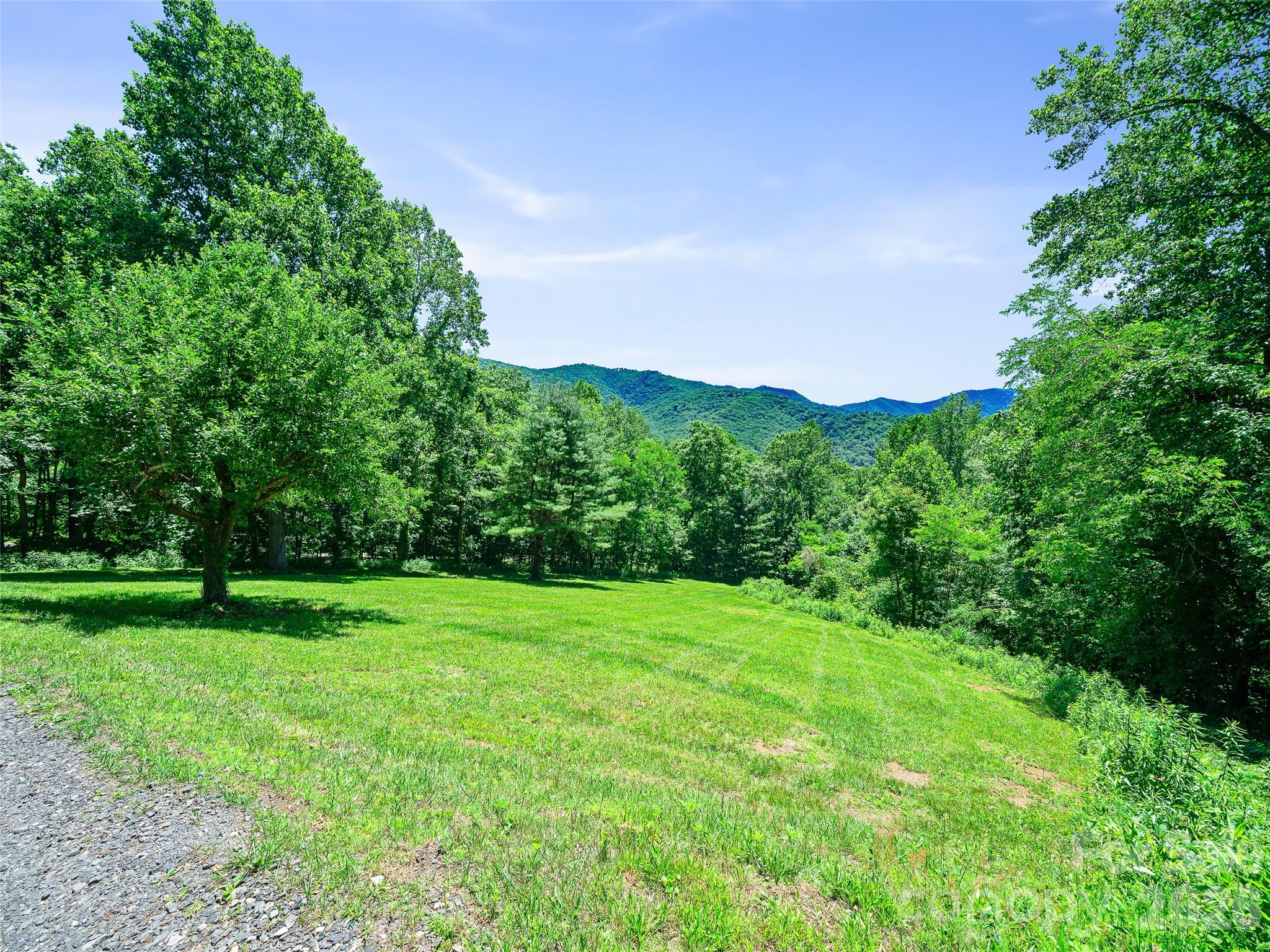 349 Spring Creek Road Bakersville, NC 28705 - Photo 33 of 47