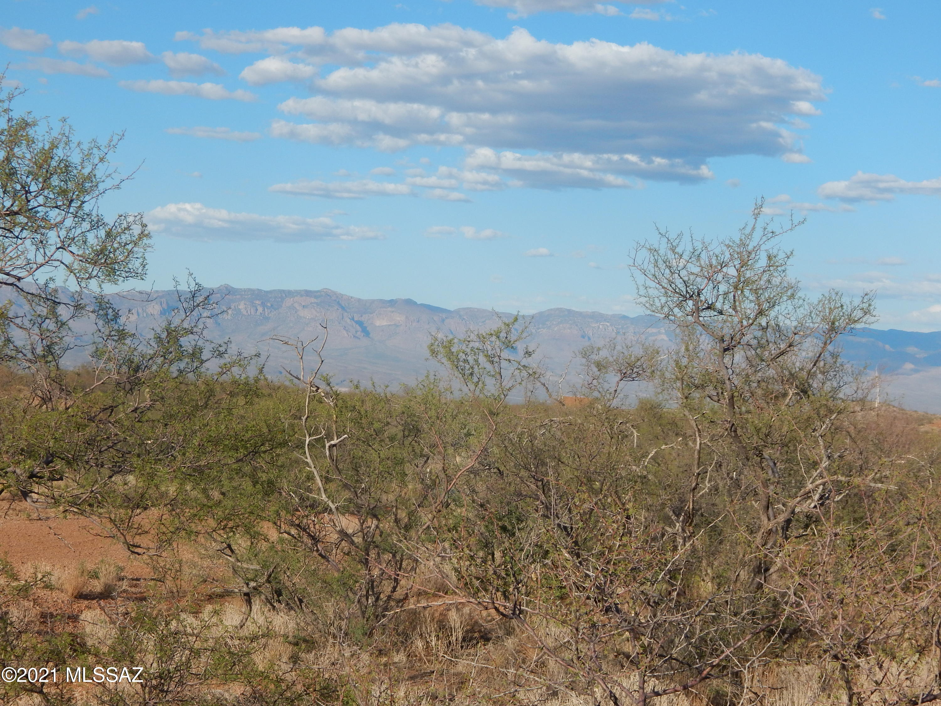 South Goldbug Road Oracle, AZ 85623 - Photo 12 of 12