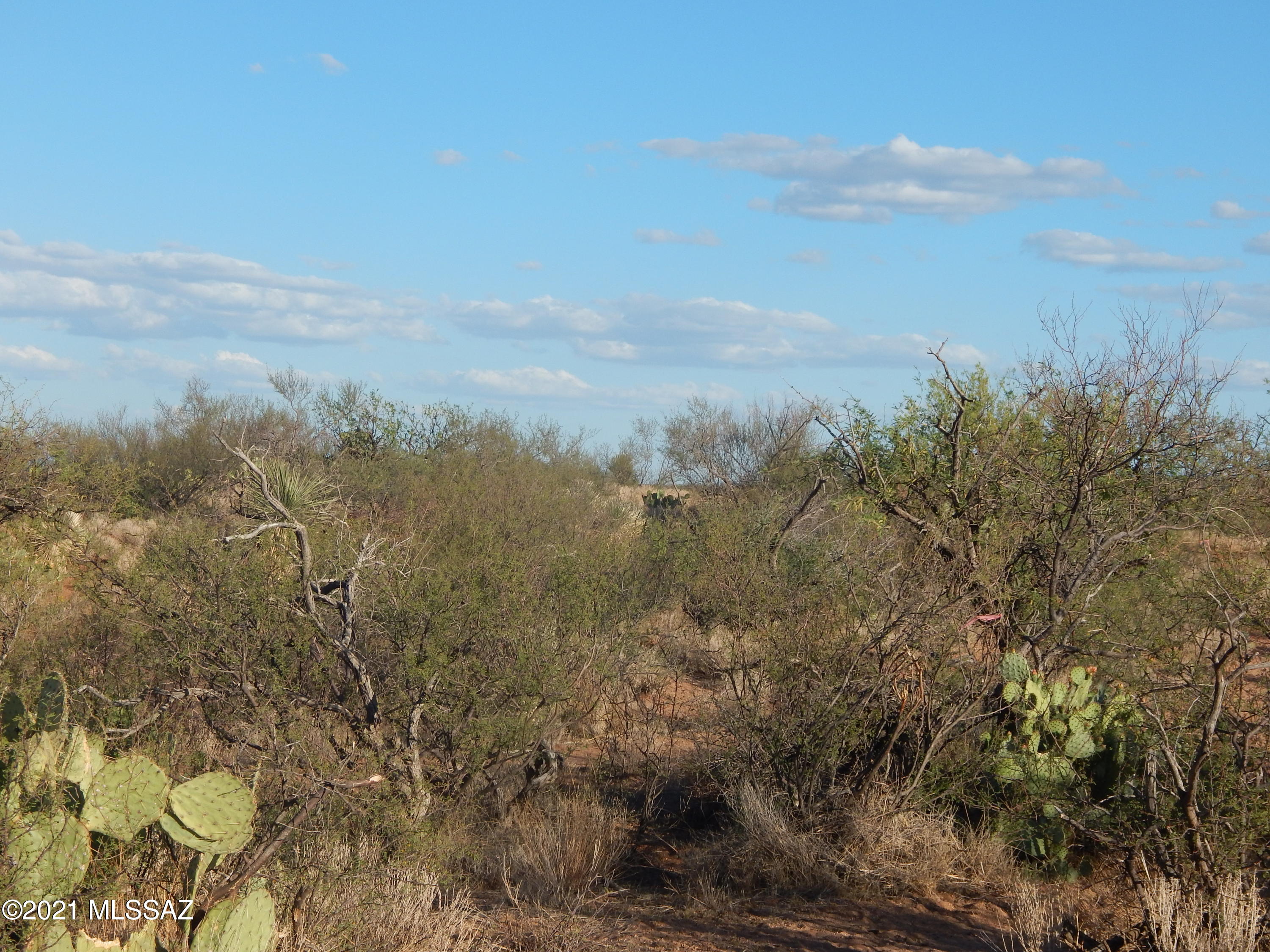 South Goldbug Road Oracle, AZ 85623 - Photo 2 of 12