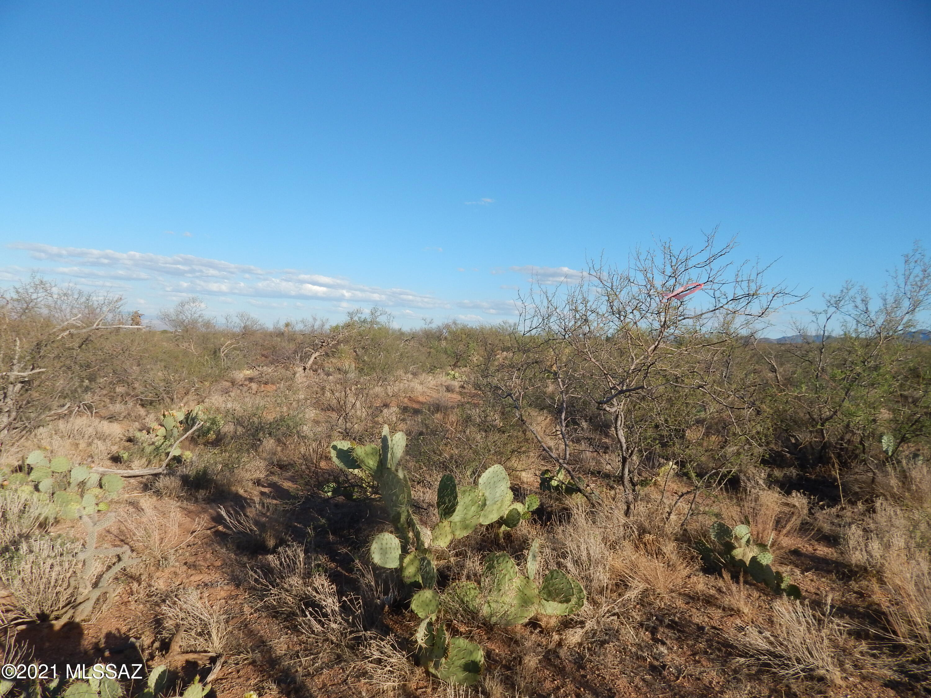 South Goldbug Road Oracle, AZ 85623 - Photo 4 of 12
