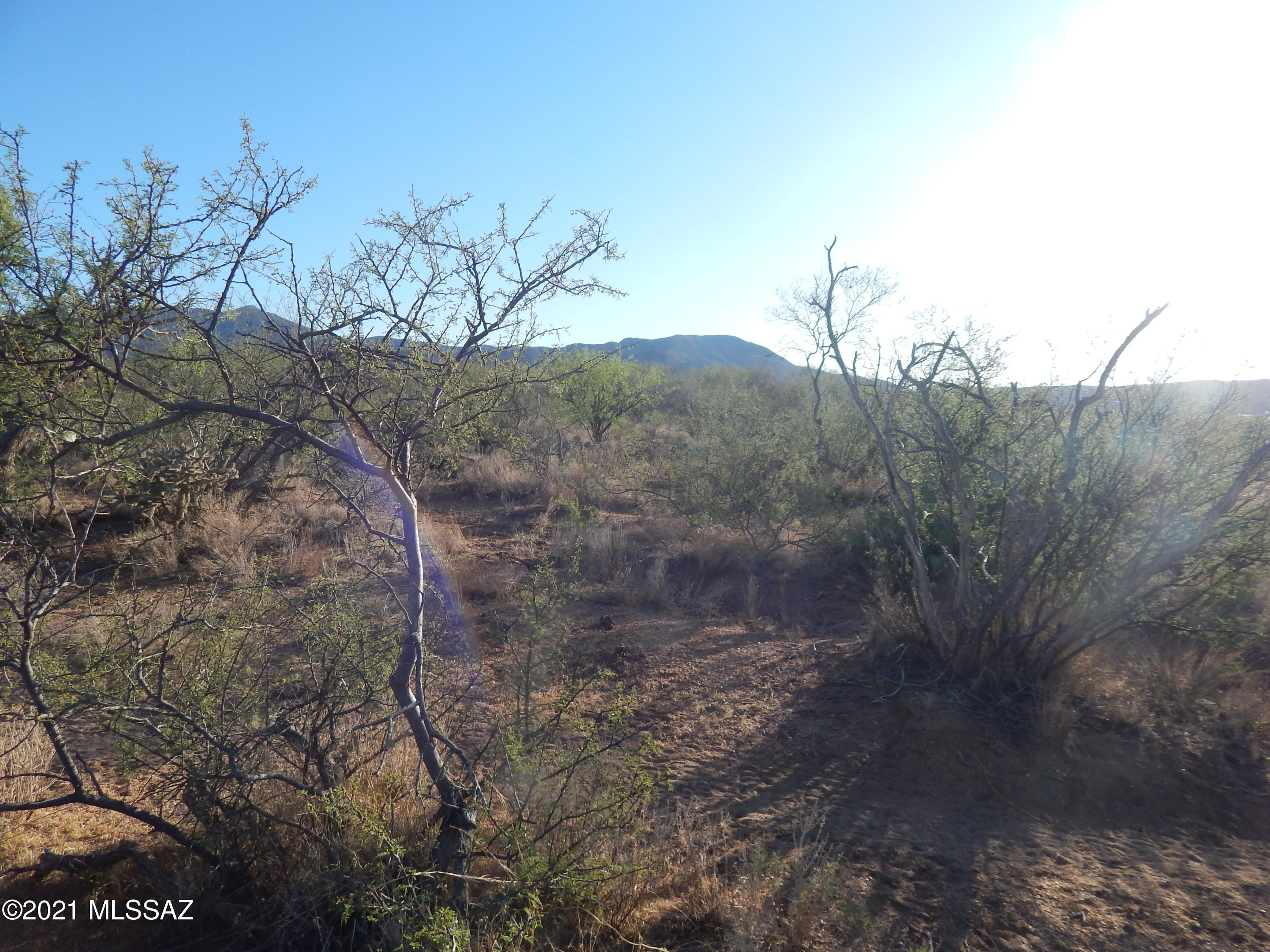 South Goldbug Road Oracle, AZ 85623 - Photo 6 of 12