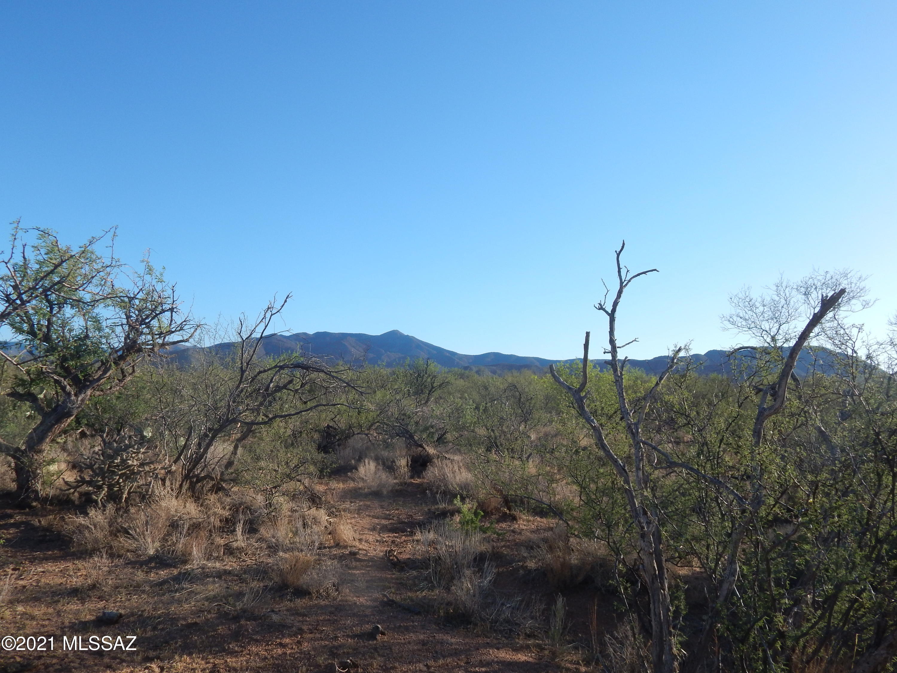 South Goldbug Road Oracle, AZ 85623 - Photo 9 of 12