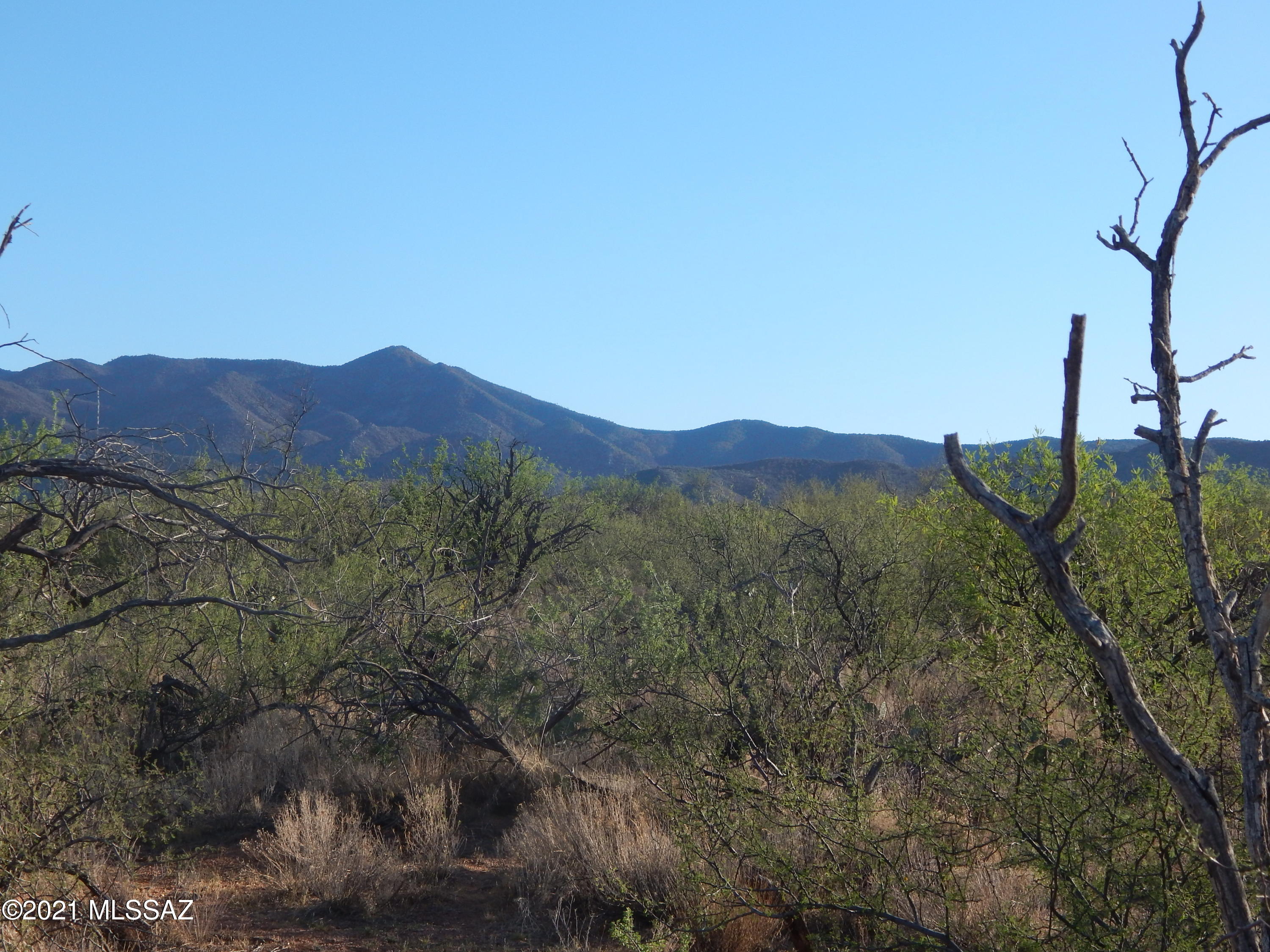 South Goldbug Road Oracle, AZ 85623 - Photo 10 of 12