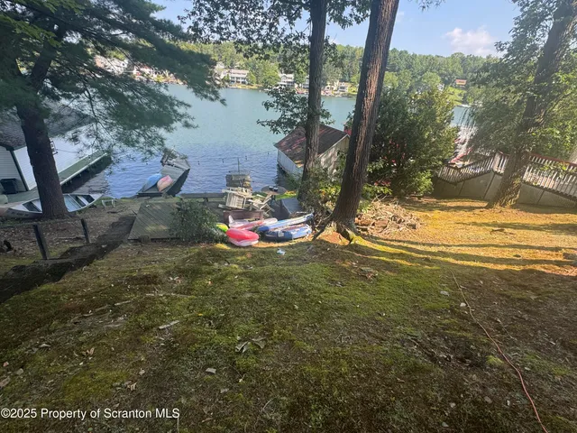 a view of yard with tree