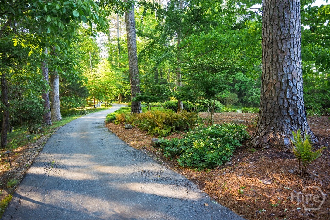255 Plum Nelly Road Athens, GA 30606 - Photo 60 of 64