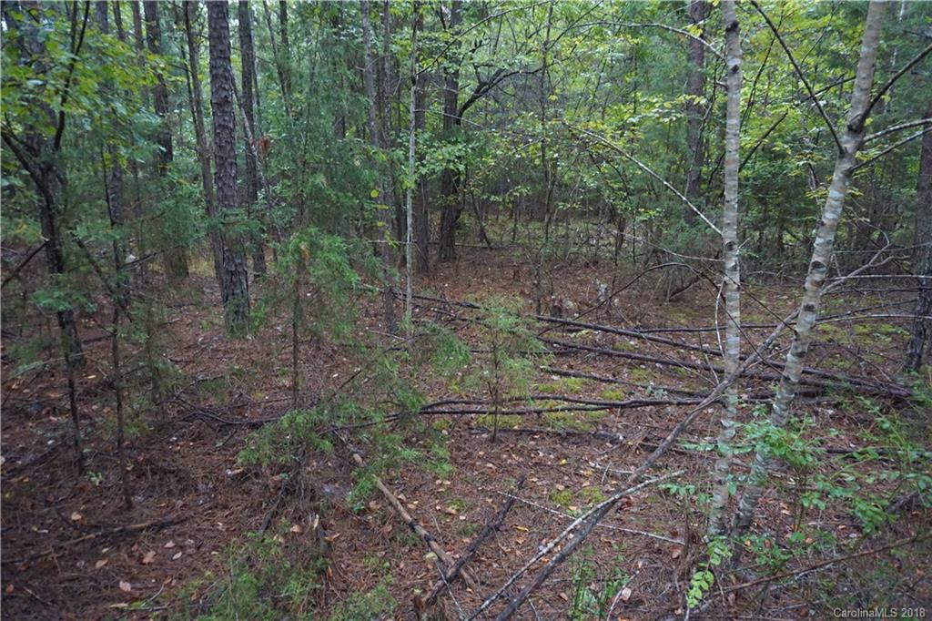 7-ac Wylies Mill Road, Unit 3 Edgemoor, SC 29712 - Photo 8 of 10
