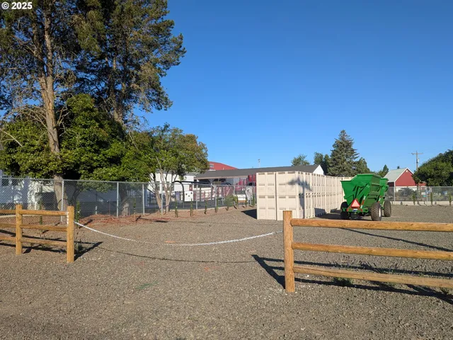 a row of palm trees and a yard of the house
