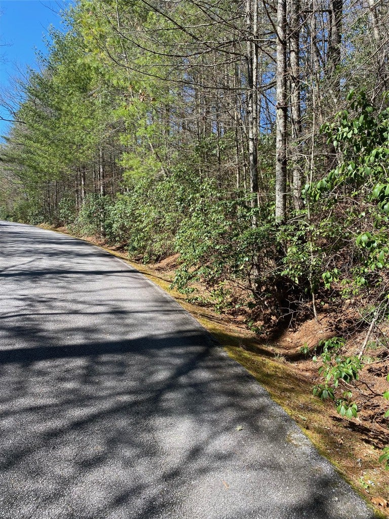 75 Big Pine Road Sapphire, NC 28774 - Photo 4 of 4 Gallery Image 4