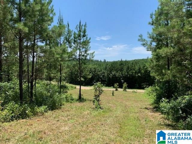 Crossover Road Cropwell, AL 35054 - Photo 5 of 6 Gallery Image 5