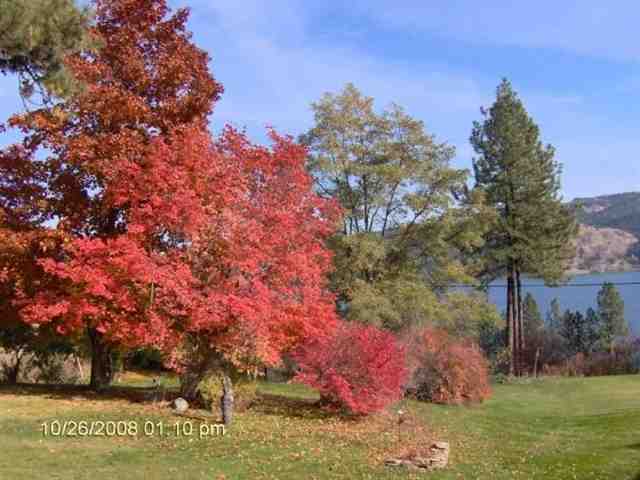 18 Kifer Road Kettle Falls, WA 99141 - Photo 3 of 9 Gallery Image 3