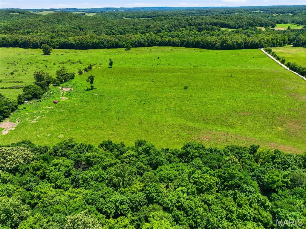0 Pleasant Hill Road Mountain Grove, MO 65711 - Photo 11 of 51