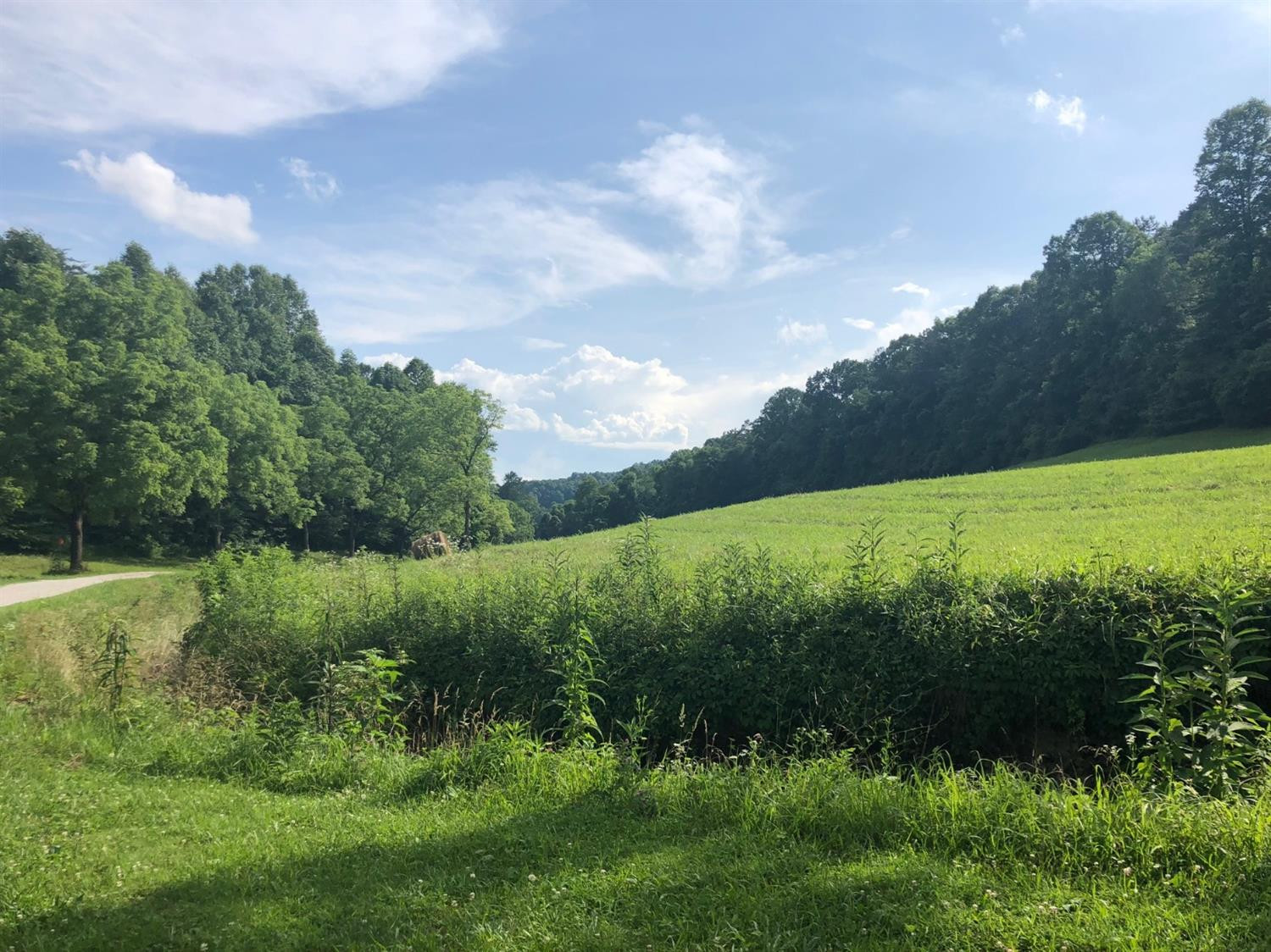 9999 Williams Hollow Road McKee, KY 40447 - Photo 10 of 28 Photo 10