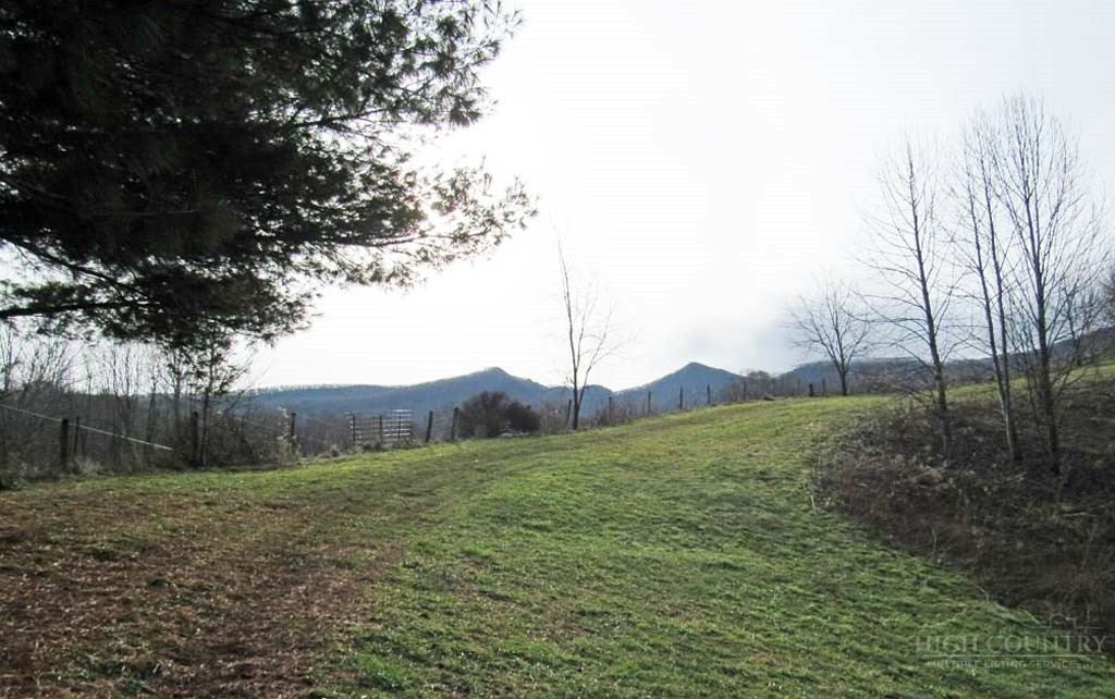 805 Ed Little Road Warrensville, NC 28693 - Photo 27 of 49 a view of a field with a tree