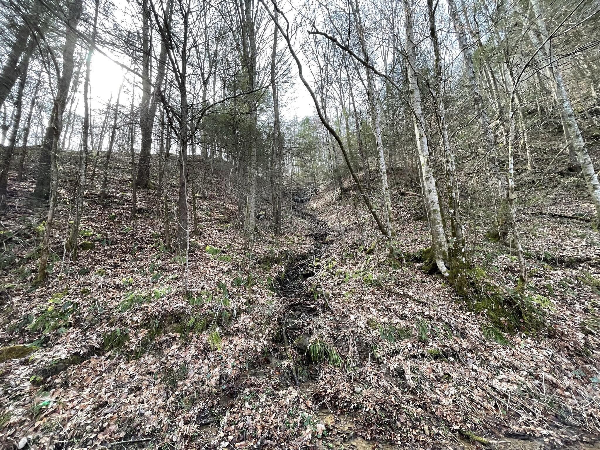 9999 Trace Branch Road Walker, KY 40997 - Photo 10 of 25 IMG_6495