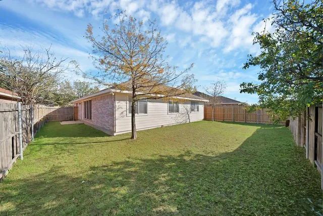 a tall tree in middle of the green field