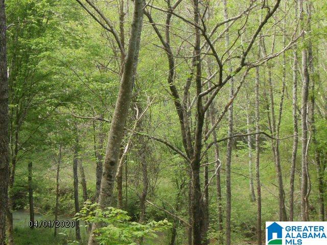 Pendley Creek Road, Unit 7 Carbon Hill, AL 35549 - Photo 8 of 10