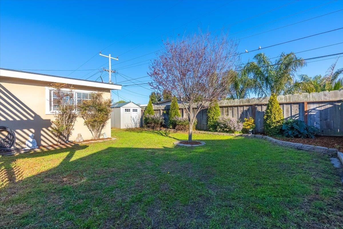 701 Cornell Avenue Salinas, CA 93901 - Photo 30 of 40 a view of swimming pool with lawn chairs and plants