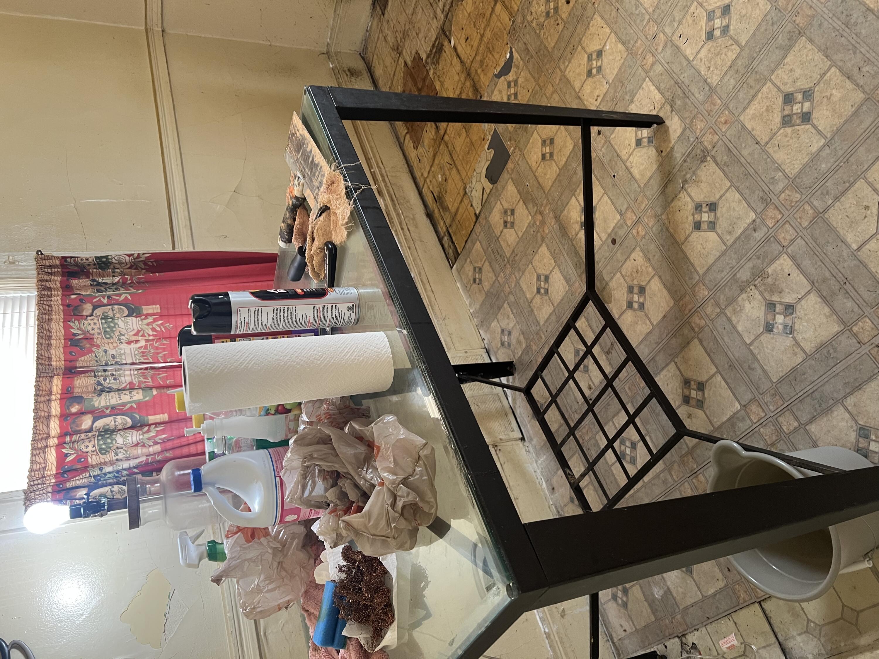 3741 Rohns Street Detroit, MI 48214 - Photo 25 of 37 Main floor kitchen