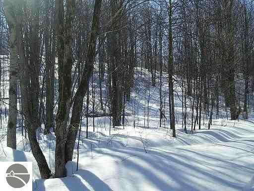 Matters Trail Vanderbilt, MI 49795 - Photo 4 of 9 1645545-3.JPG