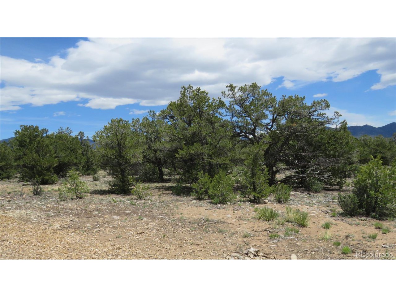 28924 Timber Ridge Buena Vista, CO 81211 - Photo 26 of 43