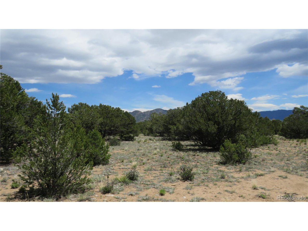 28924 Timber Ridge Buena Vista, CO 81211 - Photo 27 of 43