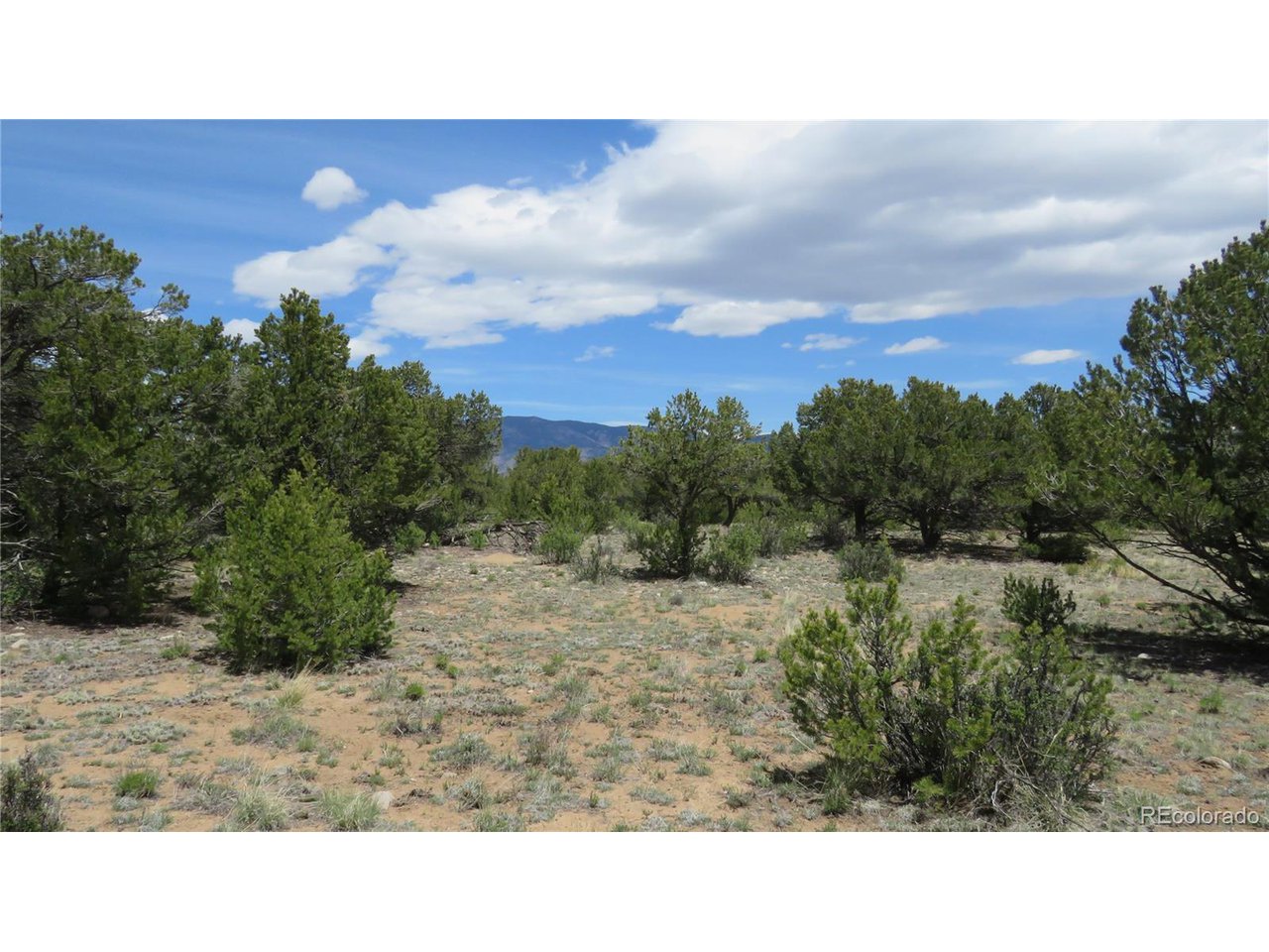 28924 Timber Ridge Buena Vista, CO 81211 - Photo 28 of 43