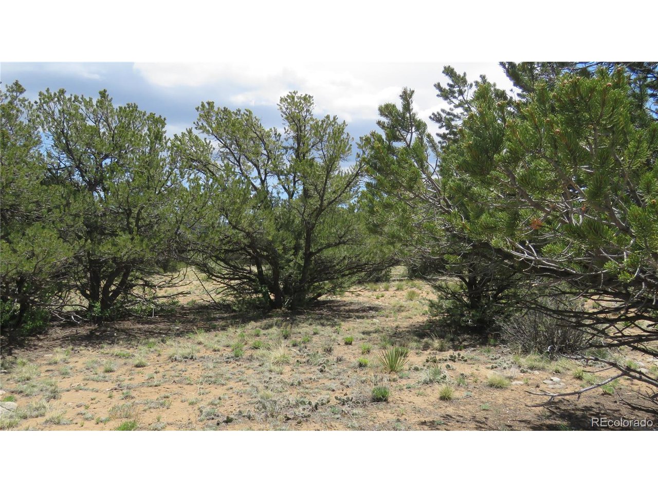 28924 Timber Ridge Buena Vista, CO 81211 - Photo 29 of 43