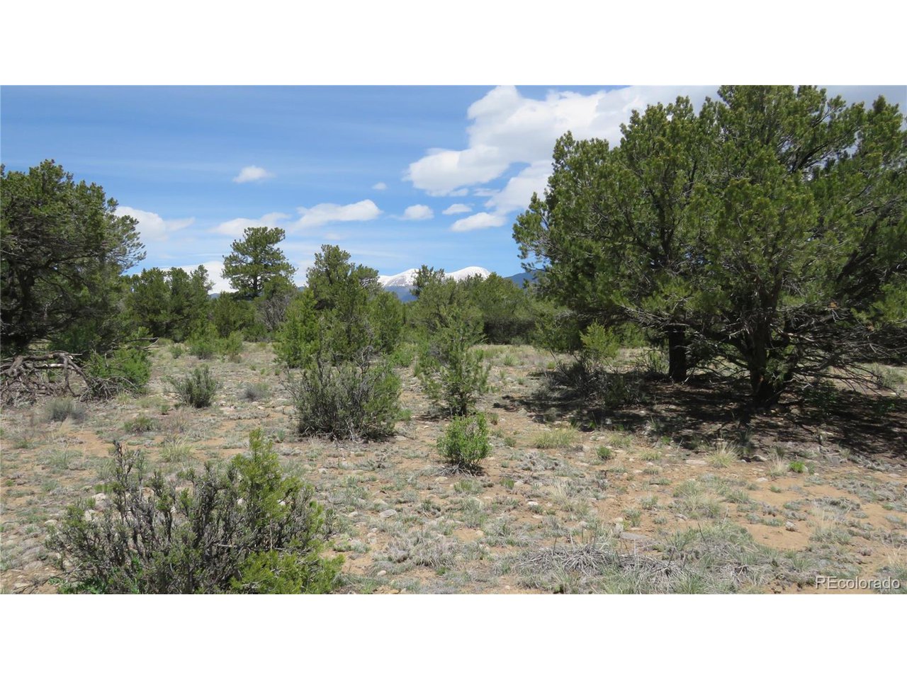 28924 Timber Ridge Buena Vista, CO 81211 - Photo 30 of 43