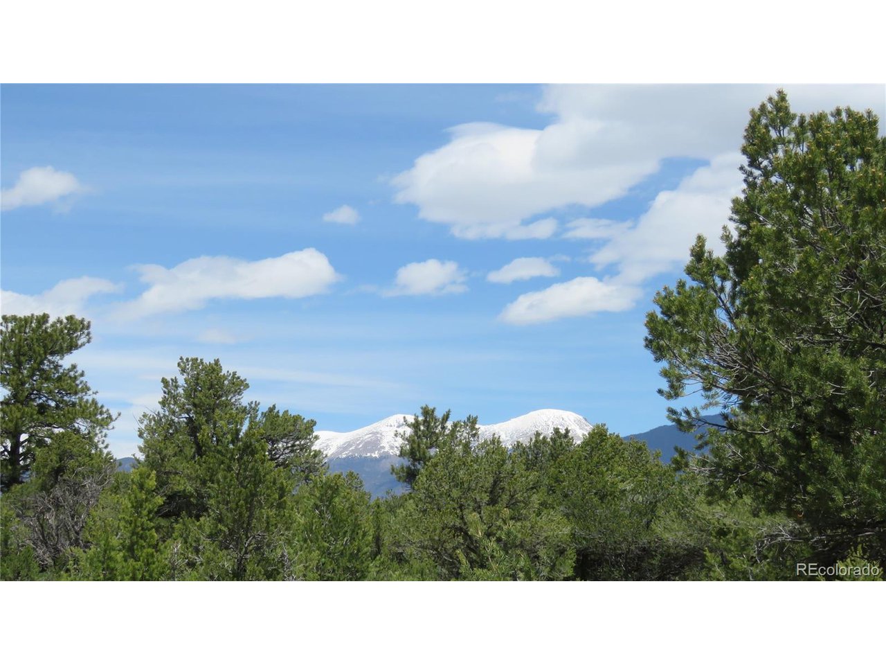 28924 Timber Ridge Buena Vista, CO 81211 - Photo 31 of 43