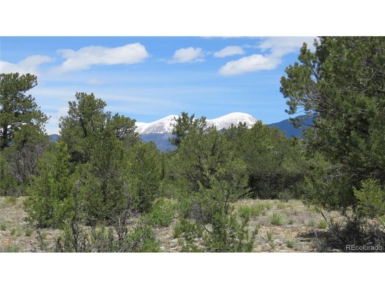 28924 Timber Ridge Buena Vista, CO 81211 - Photo 32 of 43