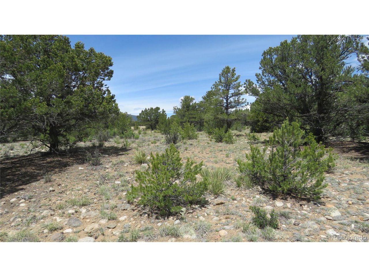 28924 Timber Ridge Buena Vista, CO 81211 - Photo 36 of 43