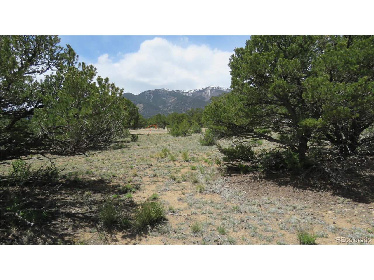 28924 Timber Ridge Buena Vista, CO 81211 - Photo 37 of 43