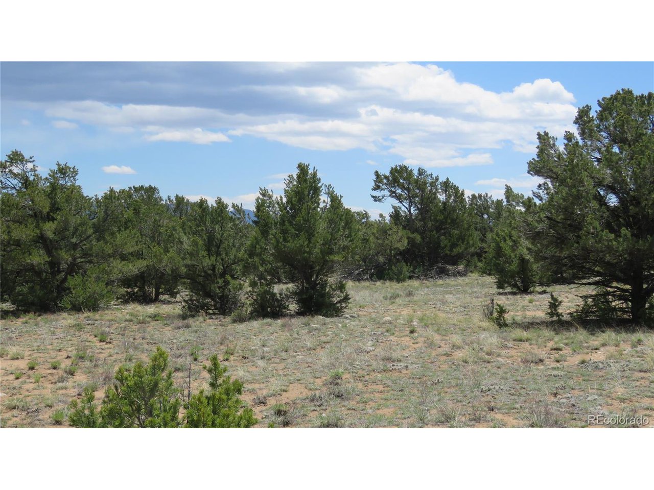 28924 Timber Ridge Buena Vista, CO 81211 - Photo 41 of 43