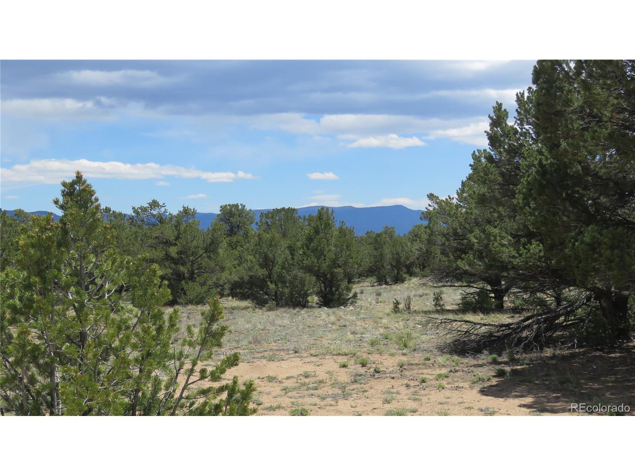 28924 Timber Ridge Buena Vista, CO 81211 - Photo 42 of 43