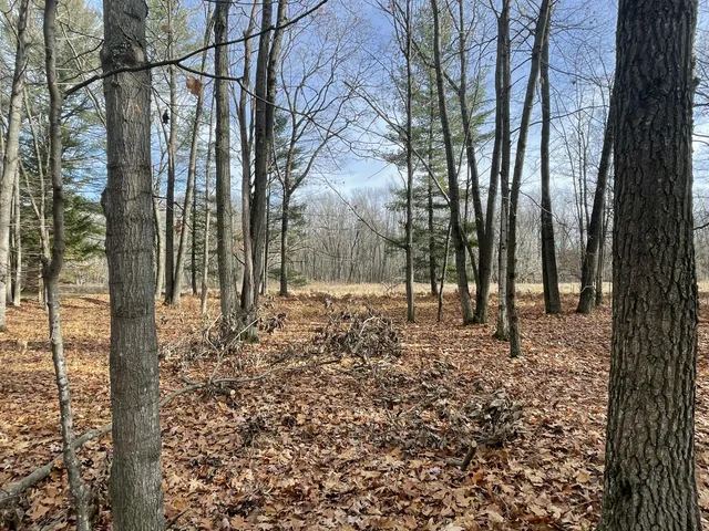 $279,900 | 2430 Indian Trail, Evart, MI 49631