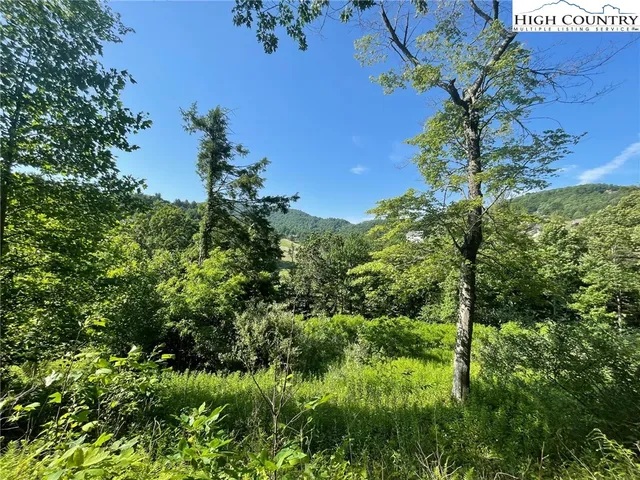 $60,000 | Lot 4 Farm Valley Lane, Boone, NC 28607