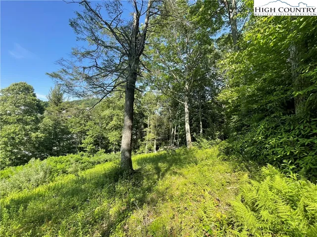 $60,000 | Lot 4 Farm Valley Lane, Boone, NC 28607