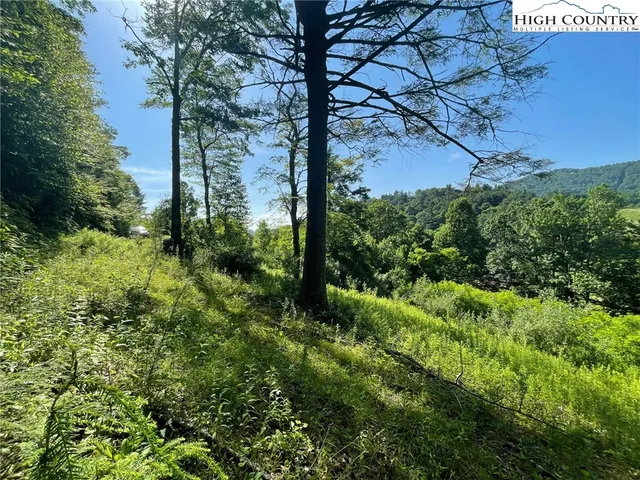 $60,000 | Lot 4 Farm Valley Lane, Boone, NC 28607
