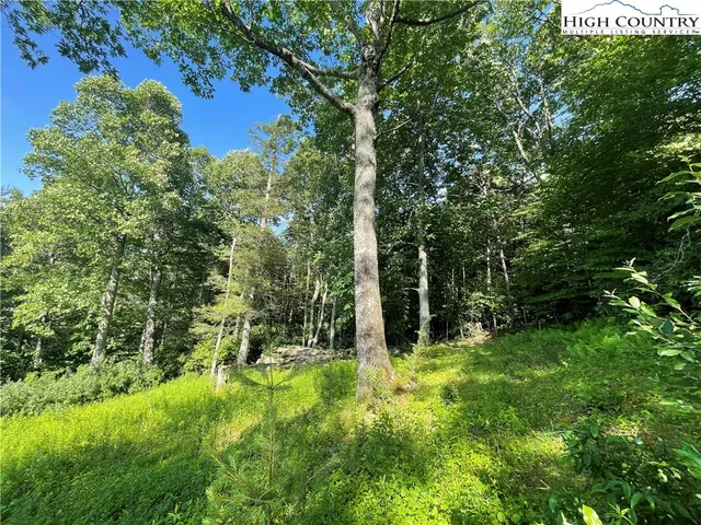 $60,000 | Lot 4 Farm Valley Lane, Boone, NC 28607