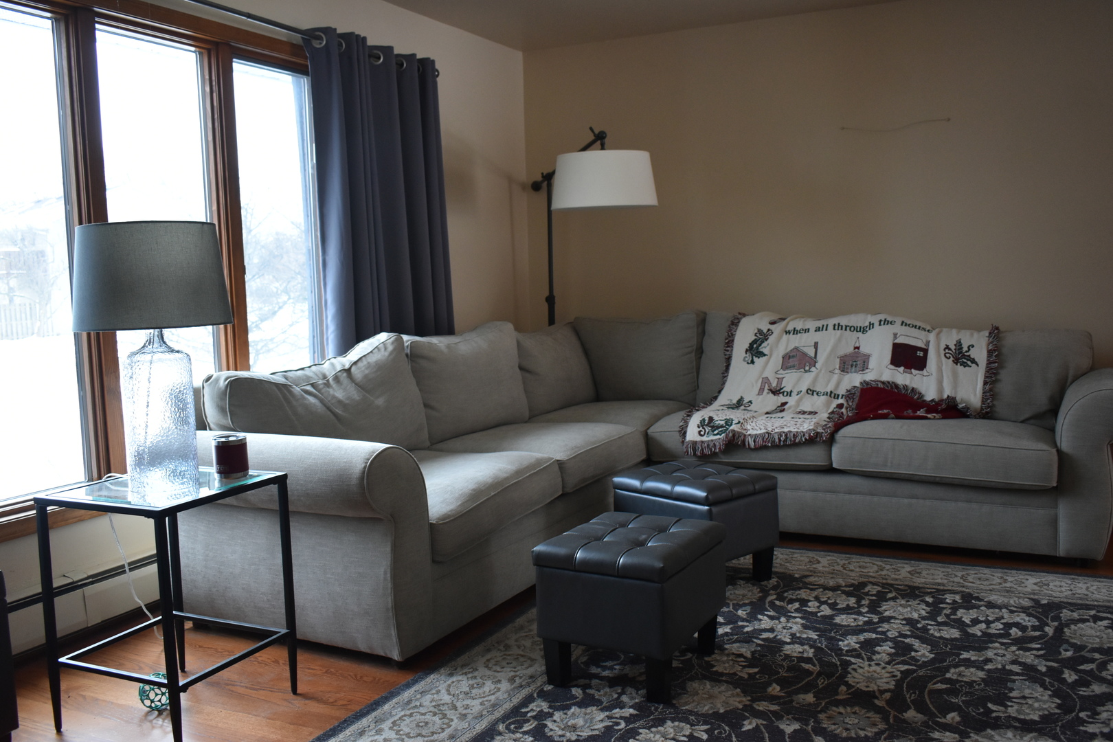 67 Castle Coombe Court Bourbonnais, IL 60914 - Photo 17 of 19 a living room with furniture and a window