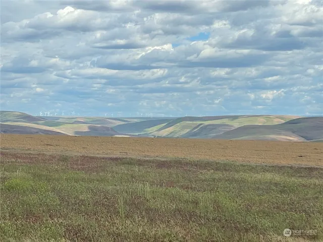 a view of an ocean and beach