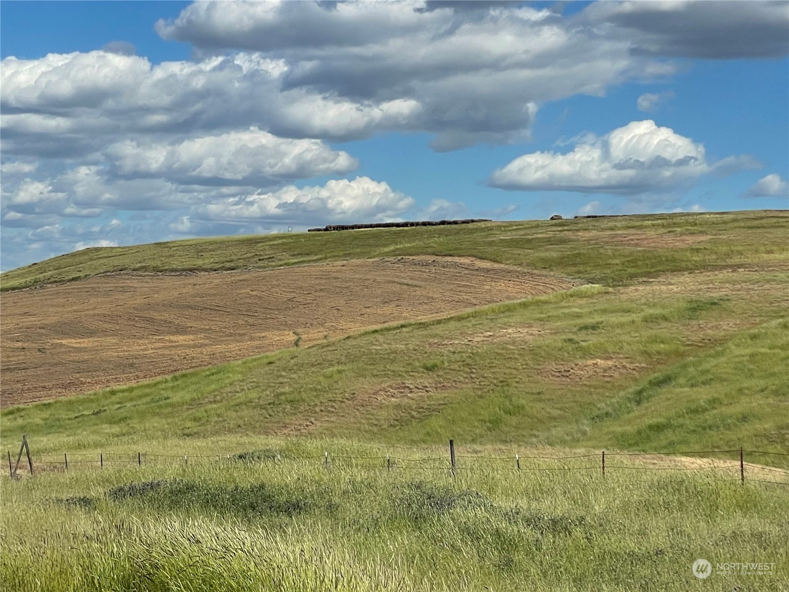 0 Powers Road Dayton, WA 99328 - Photo 3 of 6 a view of an ocean