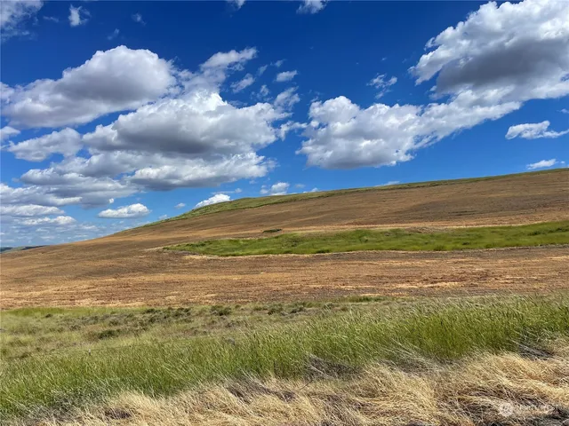 a view of an ocean and beach