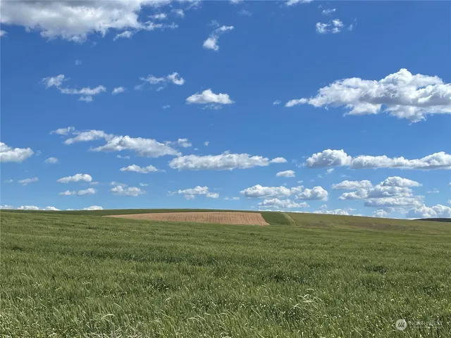 a view of an ocean and a yard