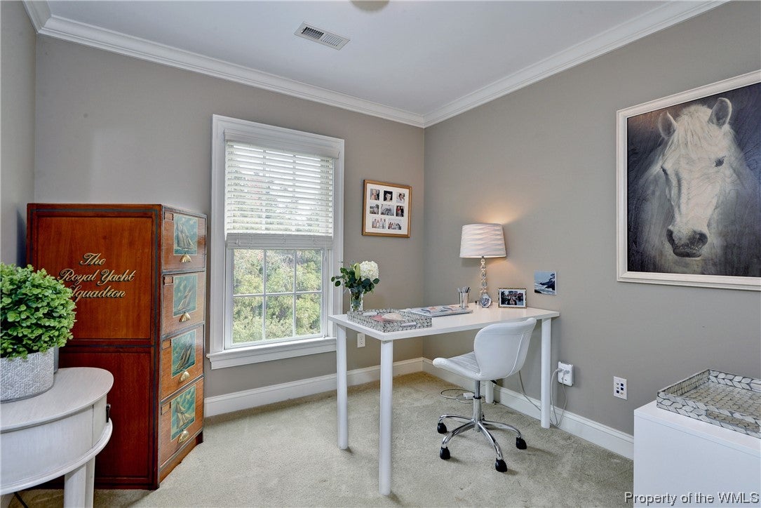 1657 River Ridge Williamsburg, VA 23185 - Photo 39 of 50 Gallery Image 39