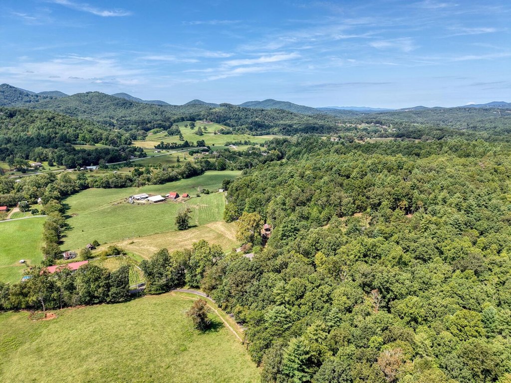 729 Collins Road Blairsville, GA 30512 - Photo 72 of 74
