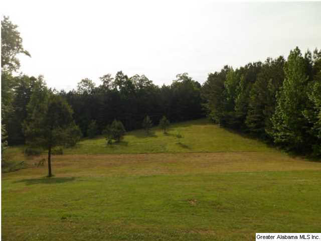 2794 Warrior Valley Road Altoona, AL 35952 - Photo 13 of 17