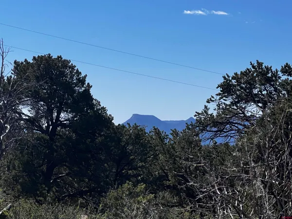 $520,000 | 16953 Road 28.4, Dolores, CO 81323